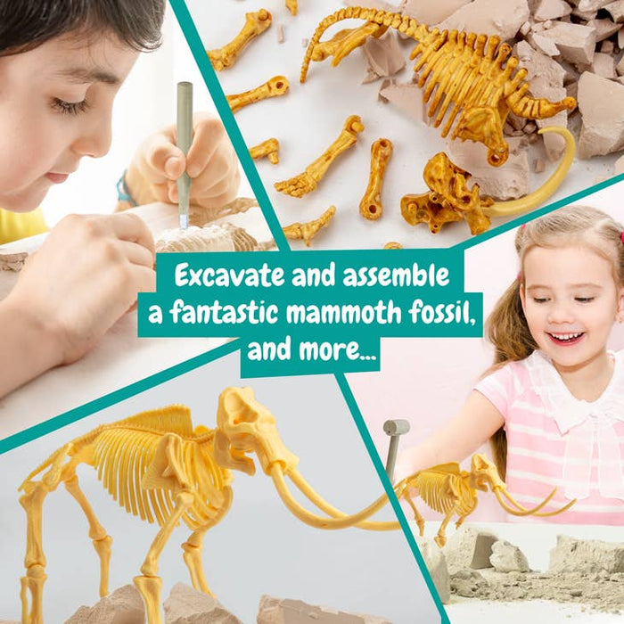 Science4you - Mammut fossil utgrävning Experiment