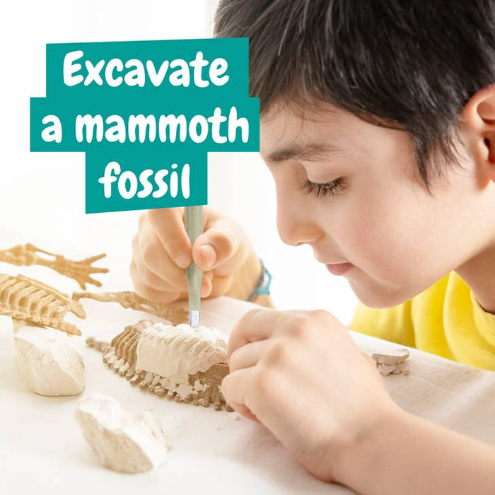 Science4you - Mammut fossil utgrävning Experiment