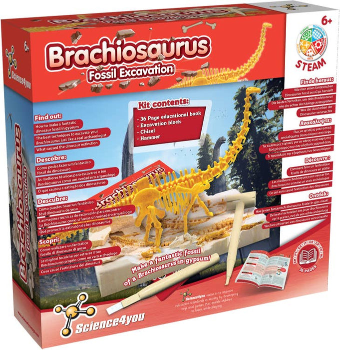 Science4you - Brachiosaurus fossil utgrävning Experiment