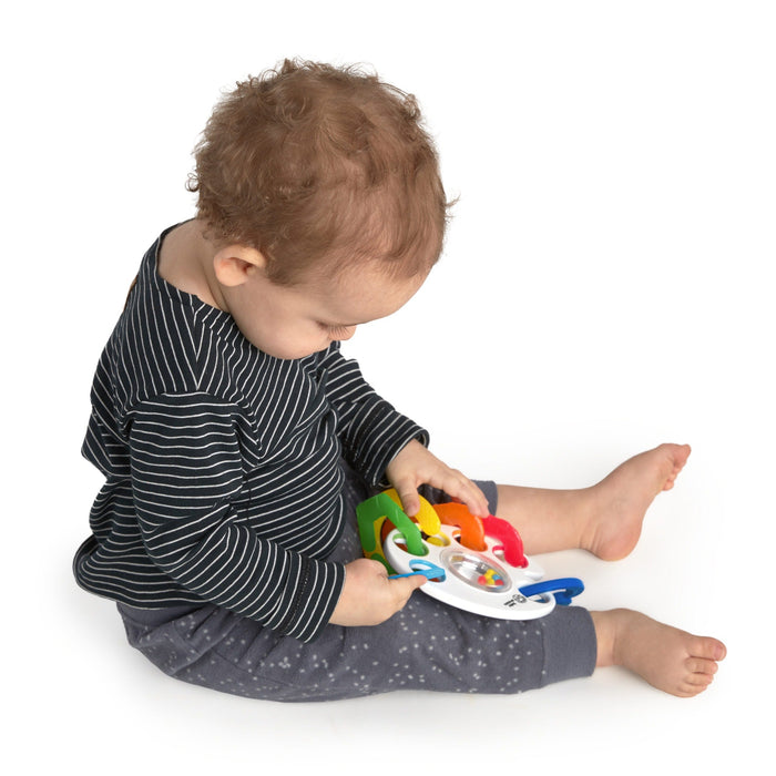 Baby Einstein Aktivitetsleksak Bitleksak Shake Rattle & Soothe