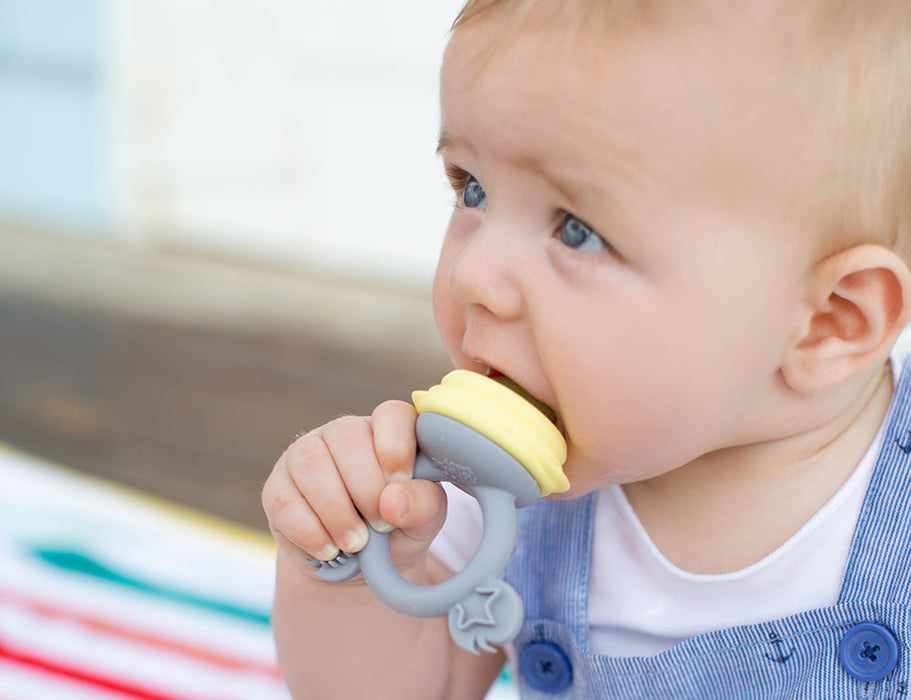 Cherub Baby Fresh Food Feeder Lemon/Grey