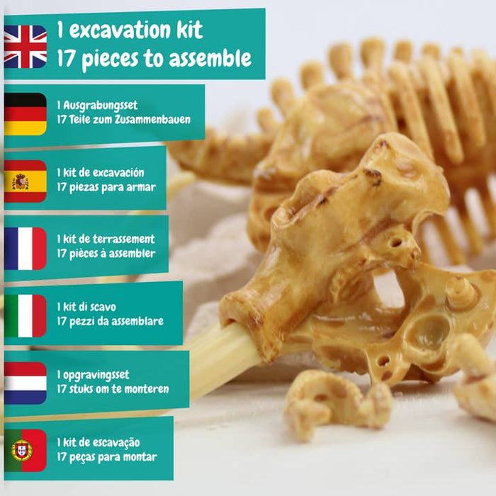 Science4you - Mammut fossil utgrävning Experiment